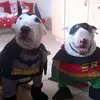 borgong stranger things - @elba.celis4 - TikTok