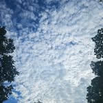 Elba Grau - @elbagrau - Instagram