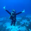 Harmonyelbajo - @harmonyelbajo - TikTok