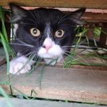 @el_basurita_de_hunter - Instagram