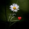 Elba Iris - @elbairiss - TikTok