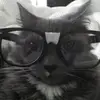 ElfbarEnjoyer - @elfbarenjoyer_ - TikTok