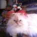 Elva Jean McMakin Knox - Facebook