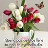 Elba Leites - @elba.leites - TikTok
