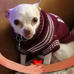 Elba Mendoza Macias - @mendozaelba - Instagram