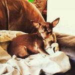 Elba Marrero - @marreroelba784 - Instagram