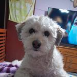 Elba Mata - @elba13_mata - Instagram