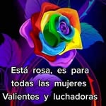 Elba negron aviles - @elbanegronaviles - Instagram