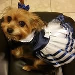 Elba Rosado - @chichi_elba - Instagram