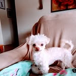 Elba Rosado - @shorty120469 - Instagram