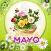 Elva Wellmann - Facebook