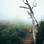 Elba Whitehead - @elbawhitehead1 - Instagram