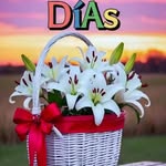 Elba zarza - @elba_zarza - Instagram