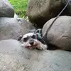 elberposso1 - @elberposso1 - TikTok