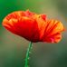Elbert Beatty - Facebook