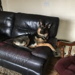 Elbert Bonner - Facebook