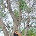 Lebert Patzz - Facebook