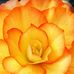 Elbert Cannon - Facebook