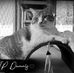Albert Carpenter - Facebook