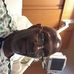 Elbert Ellison - Facebook
