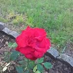 Elbert Evans - @e1f60d - Instagram
