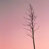 elbertfleming762 - @elbertfleming762 - TikTok