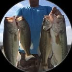 Elbert Shackelford - @elbertshackelford__ - Instagram