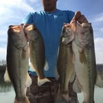 Elbert Shackelford - @elbertshackelford - Instagram