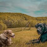 Albert Gates - @albert.gates.54 - Instagram