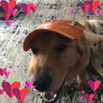 Elbert Clyde Greene - @elbert.greene - Instagram