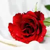 Elberta Houston - @acccmy2222 - TikTok