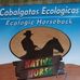 Etalbert Howard - Facebook