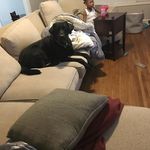 Elbert Hubbard - @elbert.hubbard.7731 - Instagram