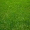 engelbertjordan - @engelbertjordan - TikTok