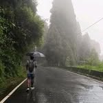 Zelda - @elbertjordanlki66398 - Instagram