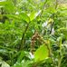 Elbert Lopez - Facebook