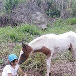 Elbert Lopez - @elbert.lopez.5 - Instagram