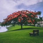 Elbert Lowery - @olympiclandscaping - Instagram
