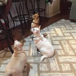 Elbert McGowan - Facebook