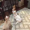 Elbert McGowan - @elbert.mcgowan - TikTok