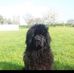 Albert Nickson - Facebook