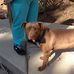 Elbert Patton - Facebook