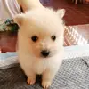Elbert Perez - @30608990473 - TikTok