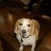 ELbert Perry - Facebook