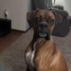 Elbert Pratt - @elbert644 - TikTok