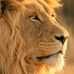 Elbert Stanton - Facebook