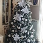 Elbert Williams - @folleyantosc4 - Instagram