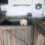 Elbert Dean Wilson - @elbertdeanwilson - Instagram