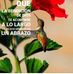 Elda Alarcon - Facebook