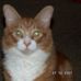 Elda Stevens - Facebook